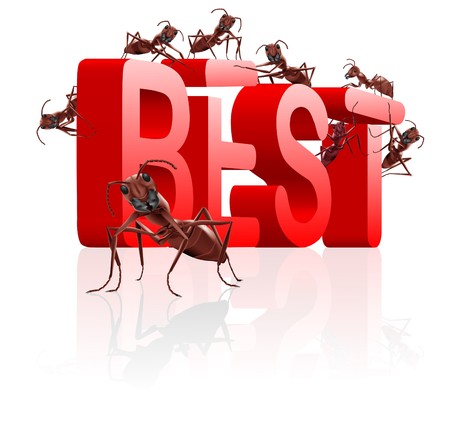 best price and quality real winner better than the rest successfulの写真素材