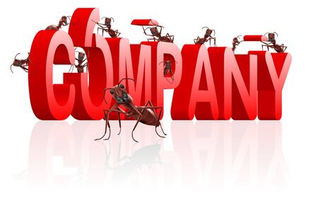 ants building company  brand comの写真素材