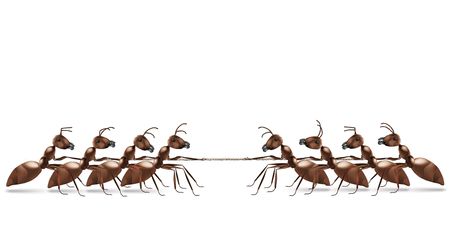 ant rope pulling business or sport competition and team workの写真素材