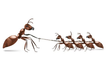 ant rope pulling unbalanced business or sport rivalryの写真素材