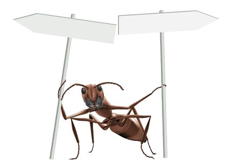 ant pointing with blank road sign indicating opposite directions creating confusion to make a choice pointing post with copy spaceの写真素材