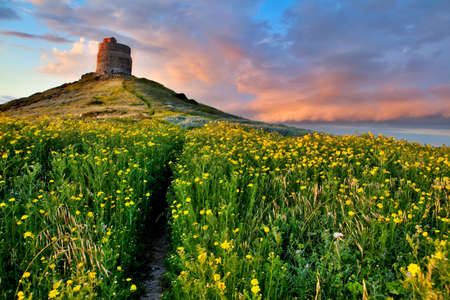 spring flower field with trail to castle tower vivid colors bright yellow pasture colorful spring meadowの写真素材
