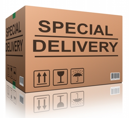 special delivery important shipment special package sending express shipping cardboard box isolated and with txtの写真素材