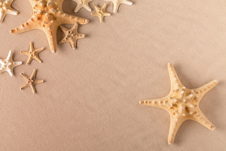 starfish or sea star on beach sand, background with copy spaceの写真素材