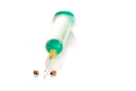 Two ticks and a syringe for vaccinationの写真素材