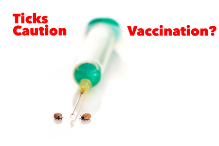 Two ticks and a syringe for vaccinationの写真素材