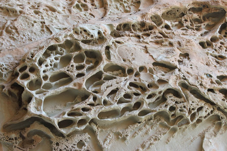 Inside Cave