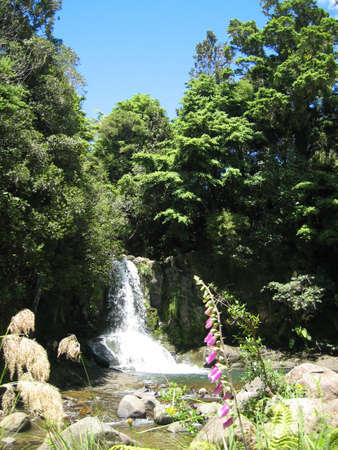 The Waiau Falls, a beautiful waterfall in the forest on the Coromandel Peninsula, New Zealandの写真素材