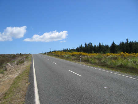 Lonely road in the Tongariro National Park, New Zealandの写真素材