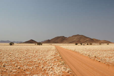 Desert landscape in the Tiras Mountains in Namibiaの写真素材