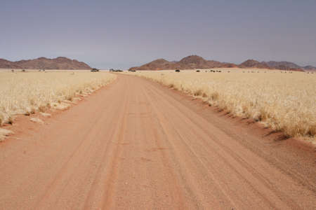 Sand road in the desert in Namibiaの写真素材