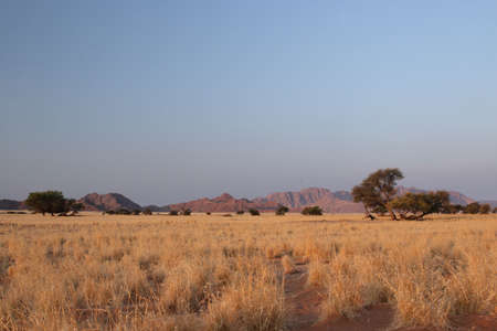 Landscape in the Namib Desert, Namibiaの写真素材