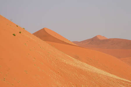 Dunes in the Namib desert, shot taken from atop dune 45 in Sossusvlei, Namibiaの写真素材