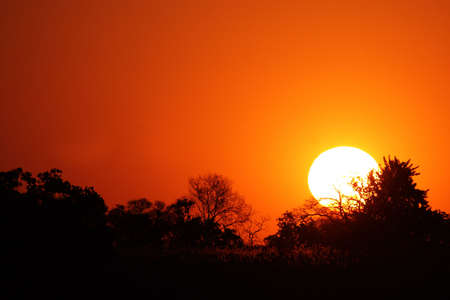 Sunset over the Okavango Delta, Botswana.の写真素材