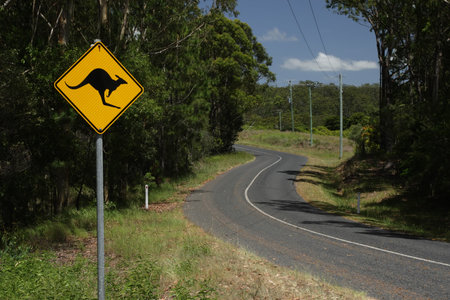 A road sign warning against cangaroos on a country road in Queensland, Australia.の写真素材