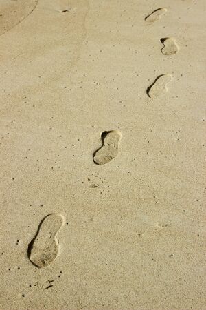 Footprints in the sandの写真素材