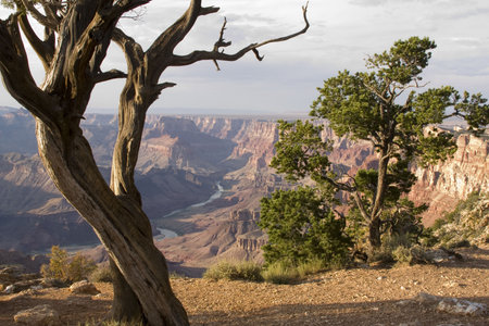 Beautiful Landscape of Grand Canyon from Desert View Point during sunsetの写真素材