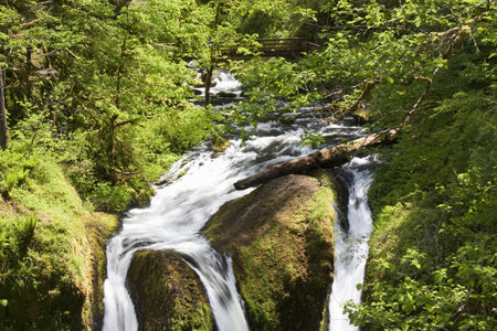 Beautiful Image of a flowing river on Ainsworth Hiking Trail.の写真素材