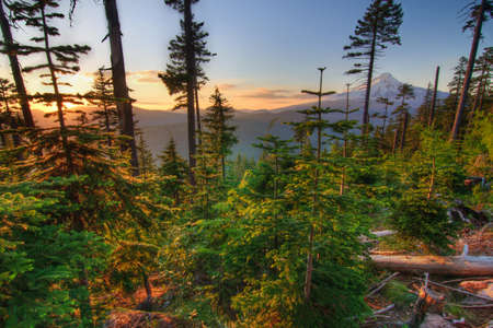 Majestic View of Mt. Hood on a bright, sunny day during the summer months.の写真素材