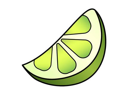 A slice of juicy green lime. Slice lime - vector full color element. Citrus fruits and vegan food.のイラスト素材