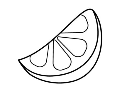 A slice of lemon or lime. Slice of citrus - vector linear image. Outline Hand drawing. white isolateのイラスト素材