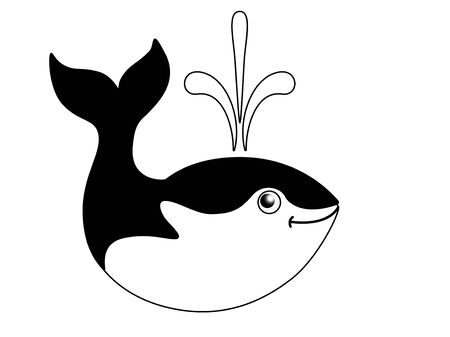 Cute funny whale. Black and white image of a marine mammal.のイラスト素材