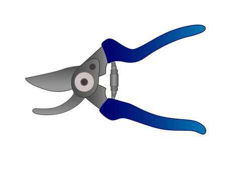 Secateurs - a tool for working in the garden - vector full color picture. Garden shears for cutting plants. A metal tool with blue plastic handles - scissors.のイラスト素材