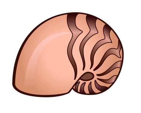 Shell A swirling beige shell with brown stripes - vector full color picture. Sea life is a clam in a shell. Ocean and river inhabitants. Mollusk nautilusのイラスト素材