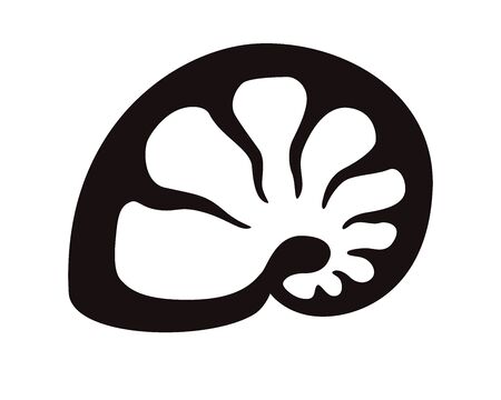 Nautilus shell -  pictogram. Nautilus shell - elegant, stylish icon for corporate identityのイラスト素材