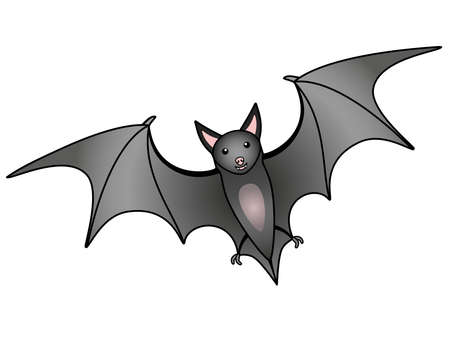 Cute gray bat - vector full color illustration. The flying fox is a bats mammal. The flying animal is a bat.のイラスト素材
