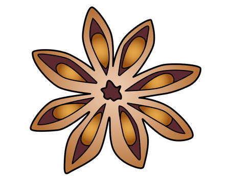 Star anise - spices vector full color illustration for a logo. Spices - star anise - vector element for illustrationのイラスト素材
