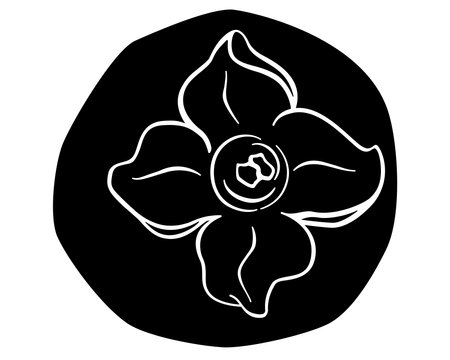 Persimmon, sweet autumn fruitのイラスト素材