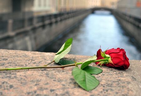 St. Petersburg. Bridge over river. On the granite bridge is a red rose.の写真素材