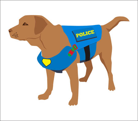 Cartoon labrador police dog trains. Cute professional police dog wearing uniform on service. Vector illustrationのイラスト素材