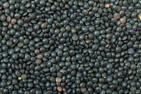 Backdrop of Black Lentil, closeupの写真素材
