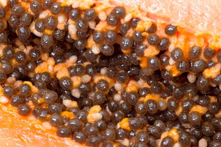 Seed Fresh Papaya closeupの写真素材