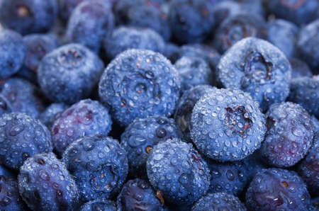 Wet Fresh Blueberries Berries closeup, backdropの写真素材