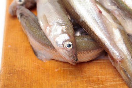 Fresh smelts fish on wooden cutting boardの写真素材