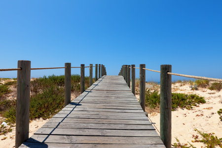 Deserted elevated wooden boardwalk protecting a fragile dune ecosystem and habitat from damage due to pedestrian traffic crossing a golden sand duneの写真素材