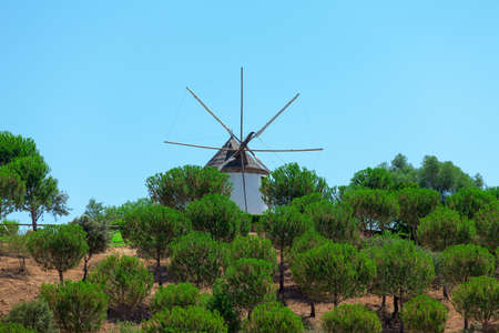 Windmill above a plantation of trees on a farm with its sails or vanes visible against the blue skyの写真素材