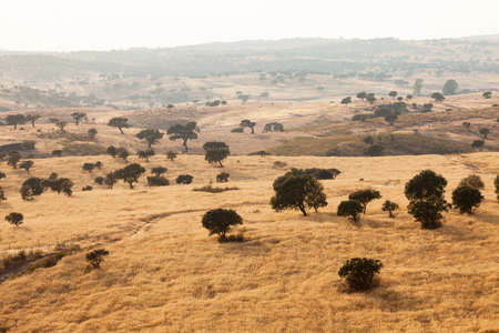 Rural landscape with grassland and a distant mist amongst gently rolling hillsの写真素材
