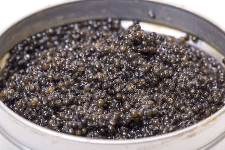 Black caviar in metal can, high angle on white backgroundの写真素材