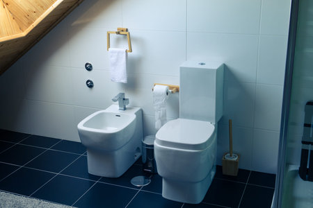 Toilet and Bidet in a Modern Bathroom, close up