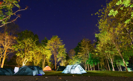 Night sky in forest on mountain at thailand