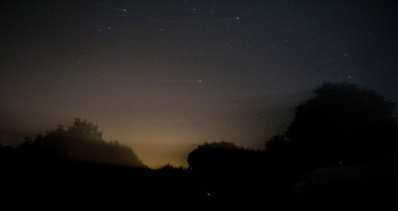 Stars in the night sky
