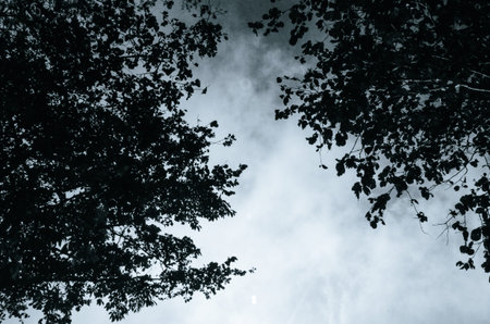 sky and white clouds
