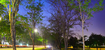 University of Park Street at nightの写真素材