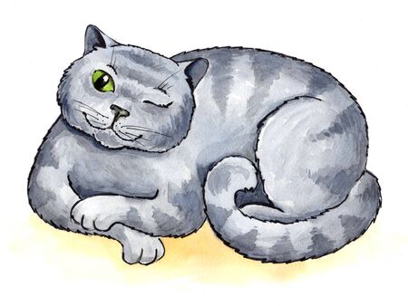 watercolor illustration gray cat one eyeの写真素材