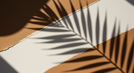 Torn paper with shadow of a palm leaf on a white backgroundの素材