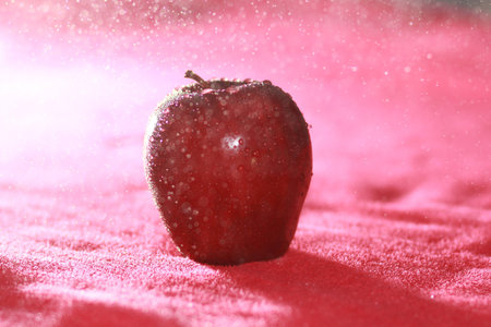 appleの写真素材